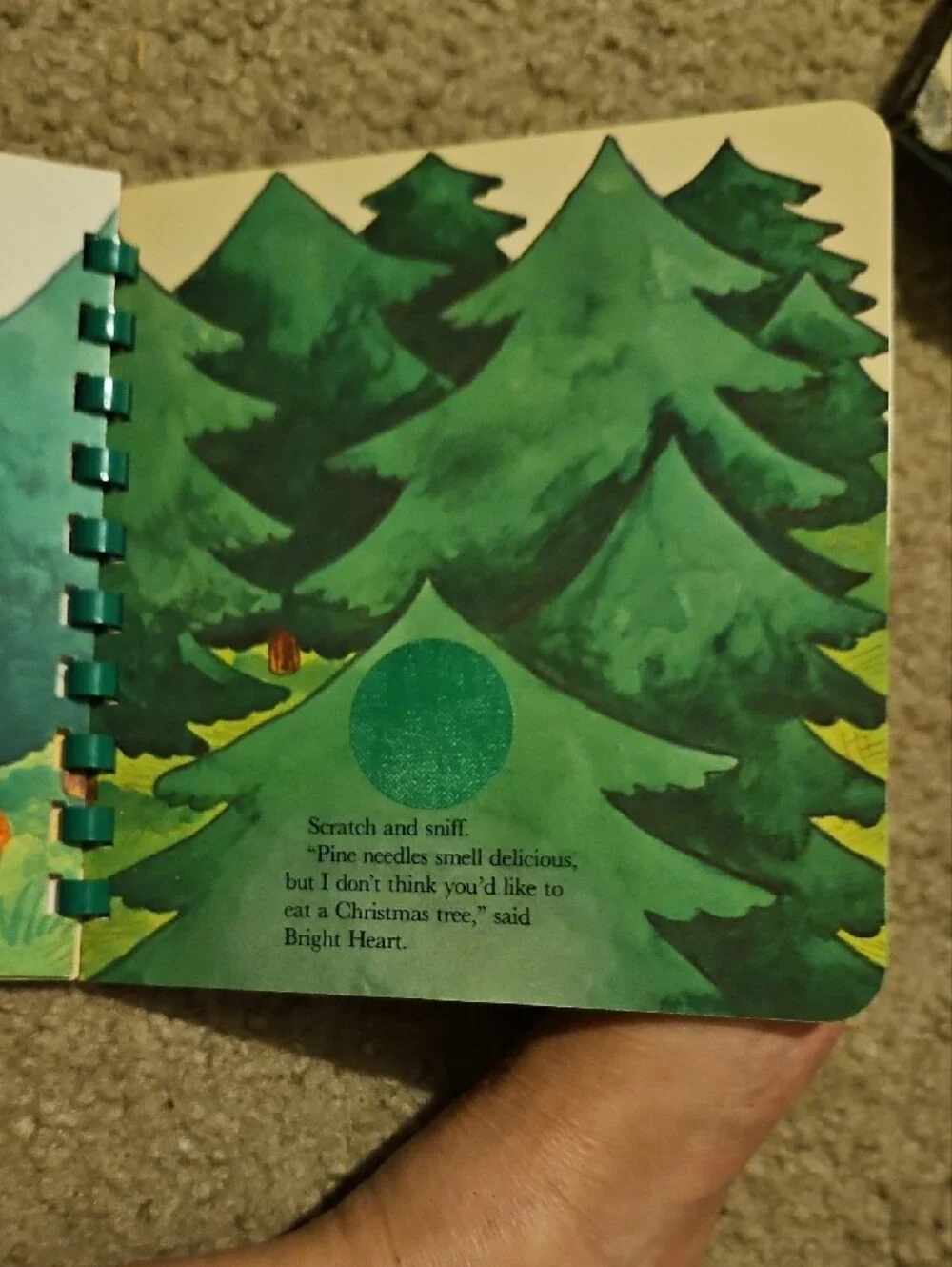 The Care Bear Cousins Visit The Woods Cardboard Childrens Book Vintage 1985